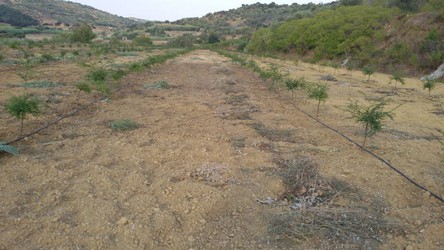 IMG-20170807-WA0011.jpeg