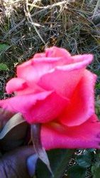 IMG-20170826-WA0005.jpg