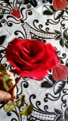IMG-20170826-WA0009.jpg