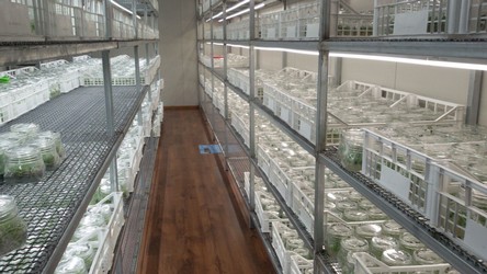 lab3.jpg