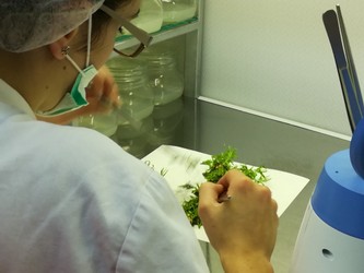 laboratorio.jpg