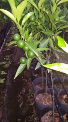 20160728_185258.jpg