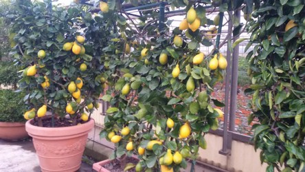 20180127_100755.jpg